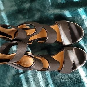 Report Signature Black wedges
